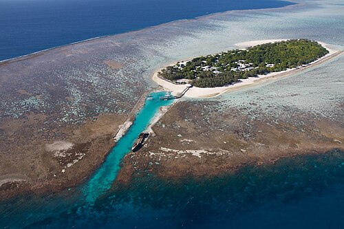 Heron Island (Queensland)